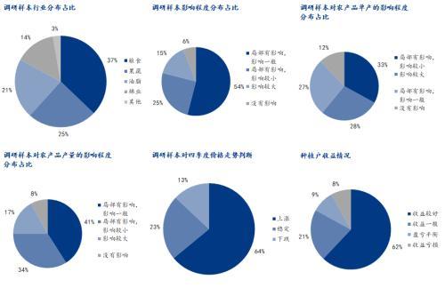 天氣不斷襲擾 農產品市場影響幾何？市場調研分析
